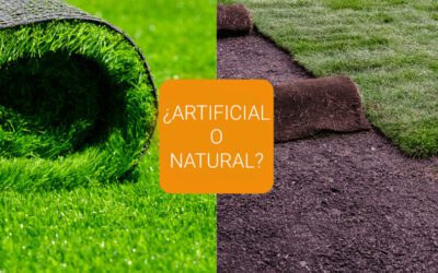 El césped perfecto:  ¿césped natural o artificial?