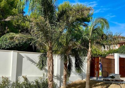 5 diseño de jardin en Tarragona Via Augusta palmeras y riego