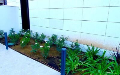 Diseño y construcciónd e jardin en Tarragona Via Augusta
