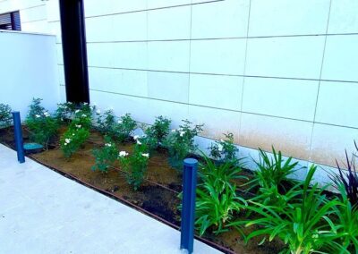 diseño de jardin en Tarragona Via Augusta (6)