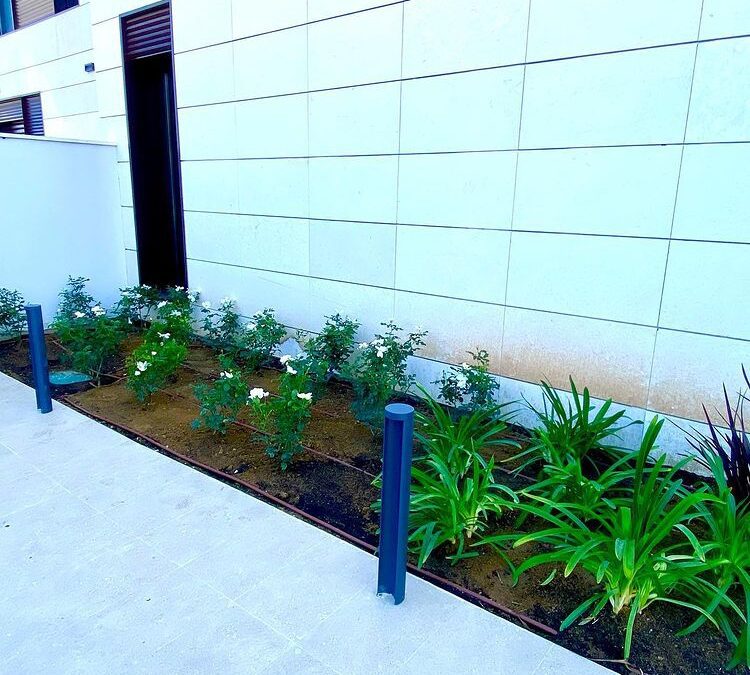 diseño de jardin en Tarragona Via Augusta (6)