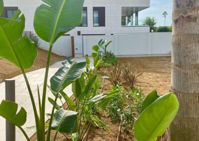 diseño de jardin en Tarragona Via Augusta (8)