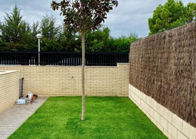 disenyo y mantenimiento de jardin particular (3)