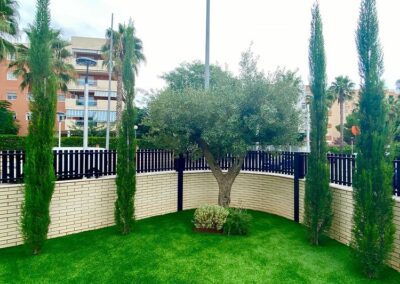disenyo y mantenimiento de jardin particular (5)