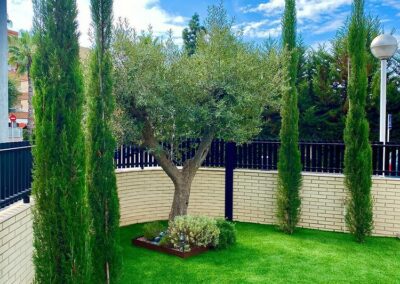 disenyo y mantenimiento de jardin particular (9)