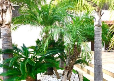 mantenimiento jardin de diseño particular (2)