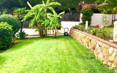 Mantenimiento de jardin particular con piscina