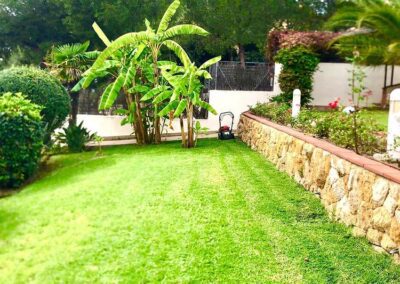 mantenimiento jardin de diseño particular (3)