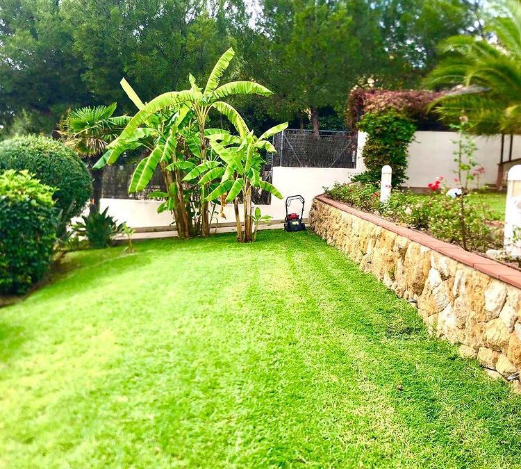 mantenimiento jardin de diseño particular (3)