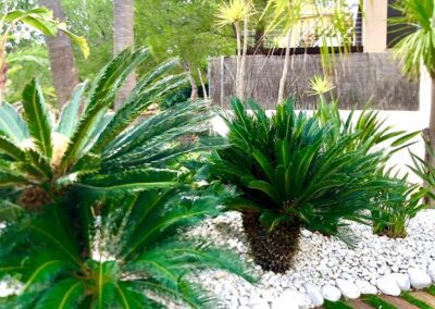 mantenimiento jardin de diseño particular (7)