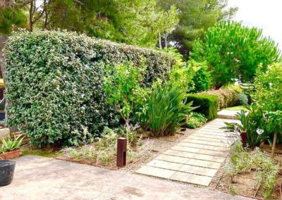 mantenimietno jardin paraiso particular (1)