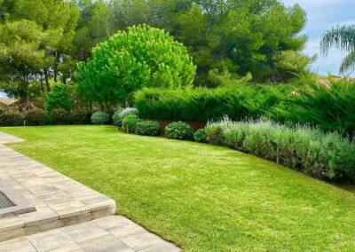 mantenimietno jardin paraiso particular (3)