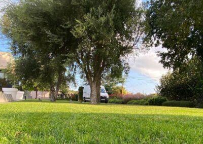 mantenimietnos jardin y piscinas can marti (7)
