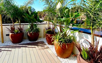 Diseño de jardin en Atico particular Tarragona