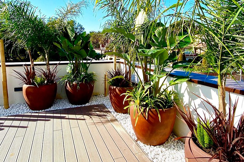 diseño de jardines en áticos